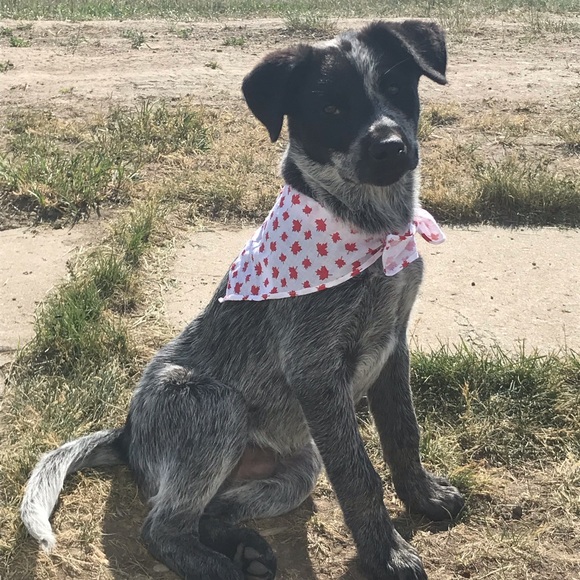 Meet your Posher, Kate - Picture 1 of 1